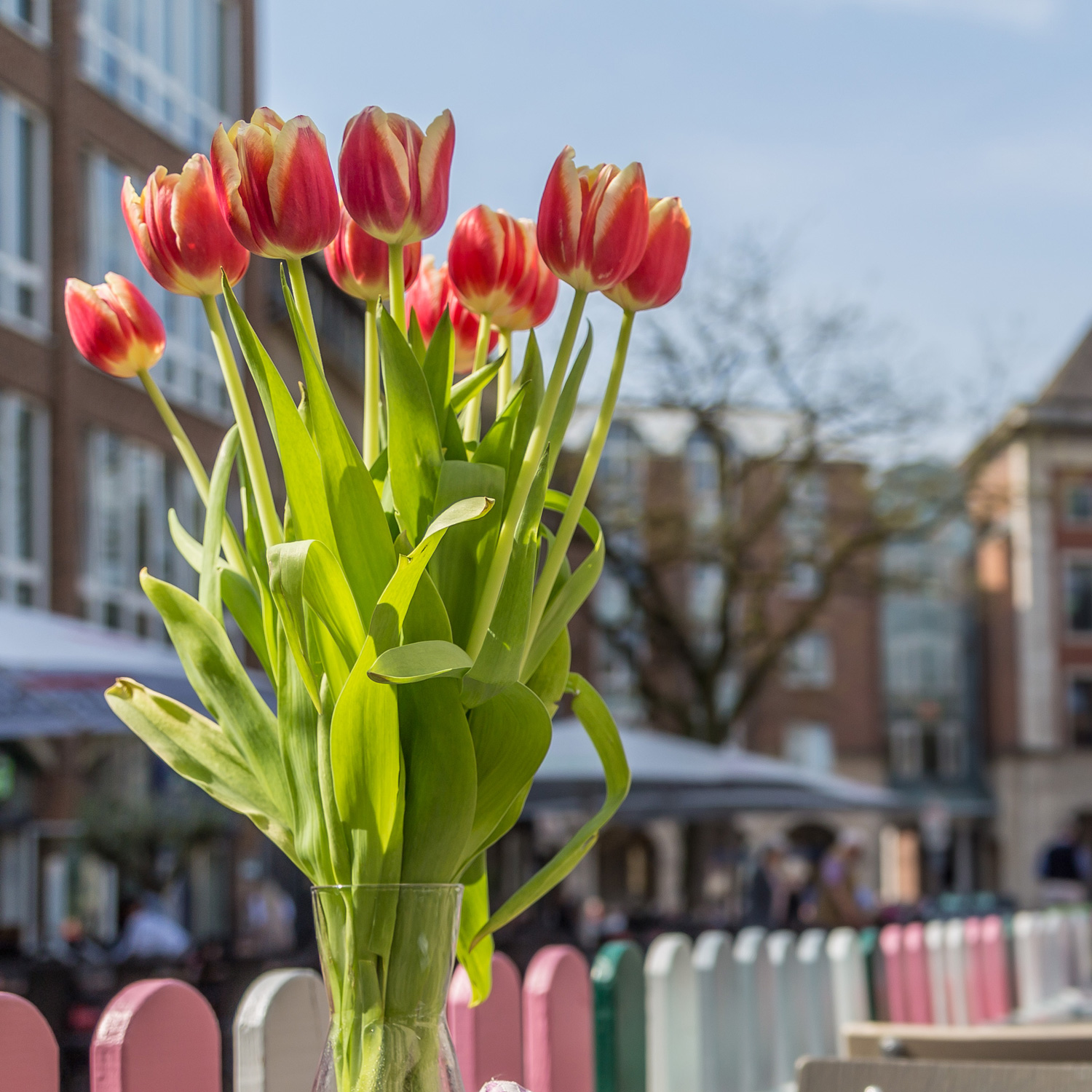 Wächst und gedeiht: Die Landesgartenschau Neuss 2026. | Foto: Neuss Marketing Wächst und gedeiht: Die Landesgartenschau Neuss 2026. | Foto: Neuss Marketing