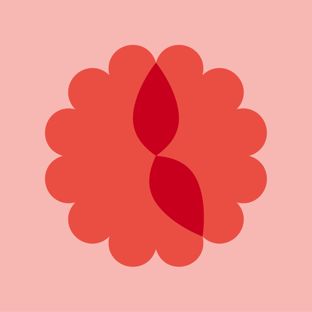 Die Landesgartenschau Neuss 2026 geht voran. Der LAGA-Ticker informiert über den Fortschritt der Bauarbeiten, über kleine Meilensteine und aktuelle Themen rund um den neuen Park und die Planungen für die NRW-Landesgartenschau 2026.